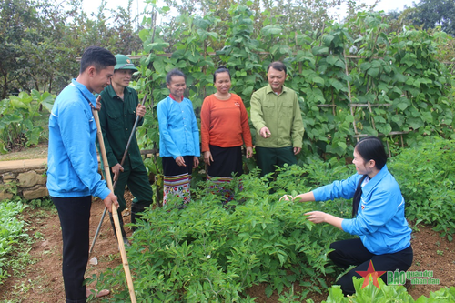Đoàn Kinh tế - Quốc phòng 4 (Quân khu 4): 'Vượt khó' giúp dân xóa nghèo