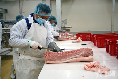 Tăng cường kiểm tra giết mổ động vật, đảm bảo an toàn thực phẩm