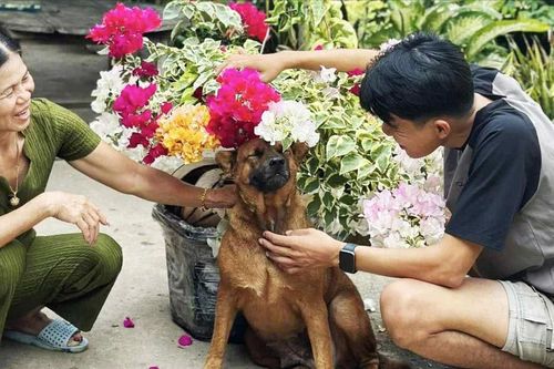 Lần trẻ con thứ hai