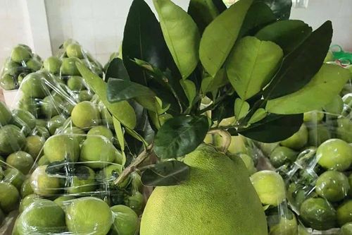 Đa dạng trái cây tết ở miền Tây
