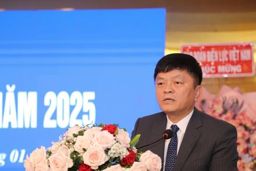 Ông Nguyễn Hữu Thịnh được bầu giữ vị trí thành viên HĐQT EVNGENCO2