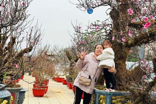 Rộn ràng sắc xuân chợ hoa TP Lào Cai