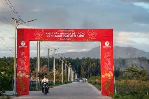 Mebi Farm - khu nuôi gà đẻ trứng công nghệ cao lớn nhất tỉnh Bình Thuận