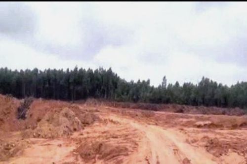 Khai thác đất trái phép, 4 đối tượng bị khởi tố