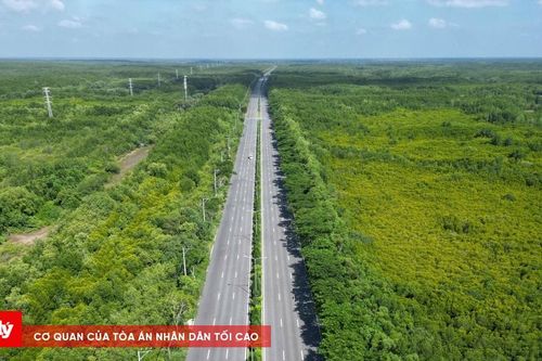 Vingroup muốn bỏ tiền túi làm tàu điện ngầm từ trung tâm TP.HCM đi Cần Giờ