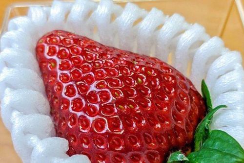 Vải thiều Úc gần 6 triệu đồng/hộp, dâu tây Nhật 7 triệu đồng/kg vẫn 'cháy' hàng