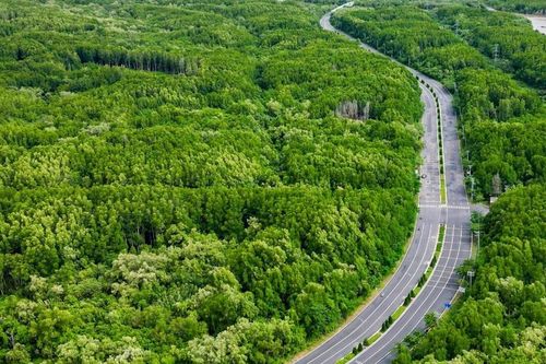 Vingroup đề xuất tự chi tiền nghiên cứu metro nối trung tâm TPHCM với Cần Giờ