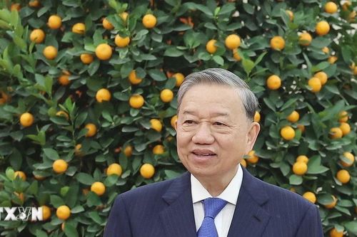 Tổng Bí thư tiếp đoàn kiều bào dự Chương trình 'Xuân Quê hương 2025'