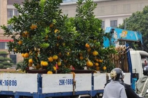 Xe ôm công nghệ 'bỏ khách' dịp cận Tết để làm việc này, kiếm tiền triệu mỗi ngày