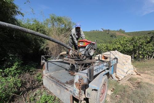 Dự báo trên 11.000 ha thiếu nước phục vụ sản xuất nông nghiệp trong mùa khô 2025
