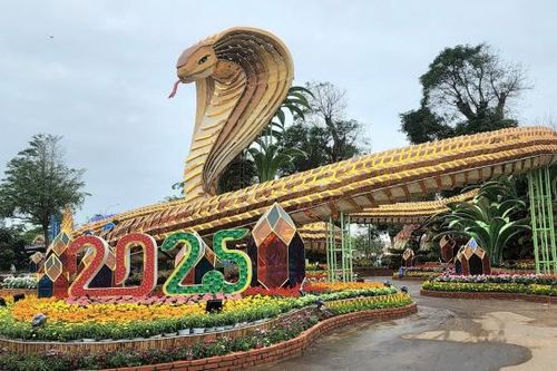 Linh vật rắn Phú Yên 'Vươn ra biển lớn trong thời kỳ hội nhập'