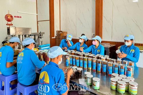 Hợp tác xã nỗ lực ứng dụng công nghệ