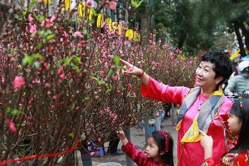 Chợ hoa Hàng Lược - Đậm đà hương sắc Tết cổ truyền