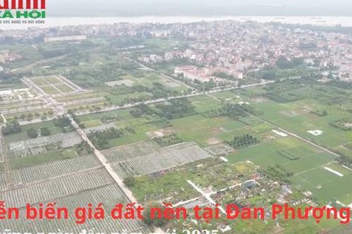 Diễn biến giá đất nền tại Đan Phượng, Hà Nội những ngày đầu năm mới 2025