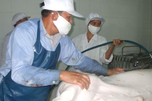 Dừng hoạt động những cơ sở giết mổ gia súc, gia cầm không phép