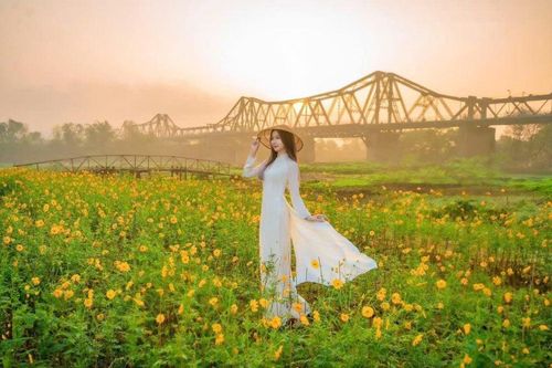 Bến hoa Phúc Xá đẹp rộn ràng những ngày cuối năm