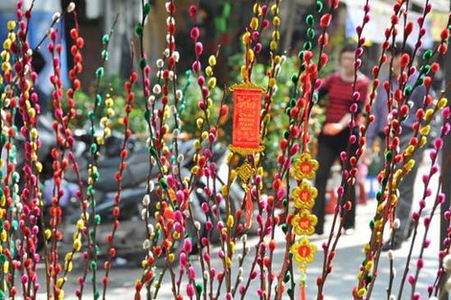 Những loài hoa mang ý nghĩa và tiêu biểu của mùa xuân