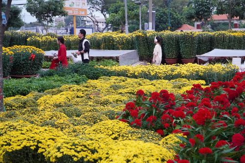 Chi trăm triệu nhập hoa Tết, cả gia đình từ Tiền Giang lên TP.HCM bán