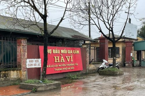 Chợ gia cầm Hà Vĩ những ngày cận Tết Nguyên đán Ất Tỵ