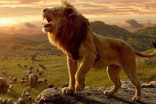 'Mufasa: The Lion King' trở lại ngôi đầu phòng vé Bắc Mỹ