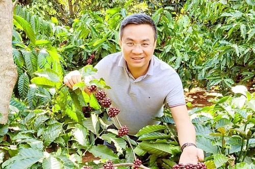 Vẻ đẹp 'căn tính Việt'