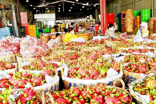 Tăng sức cạnh tranh cho nông sản Việt - Bài 1: Loay hoay câu chuyện thương hiệu nông sản Việt