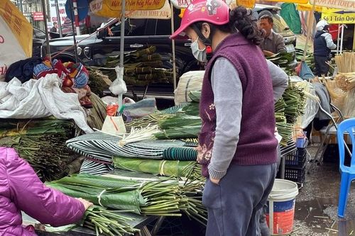 Hà Nội: Chợ lá dong Trần Quý Cáp tấp nập từ sáng đến tối