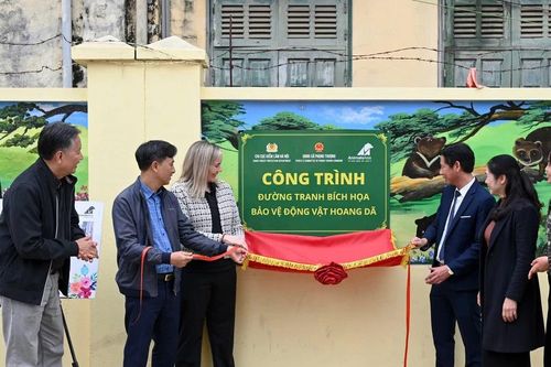 Bích họa đường phố bảo vệ động vật hoang dã