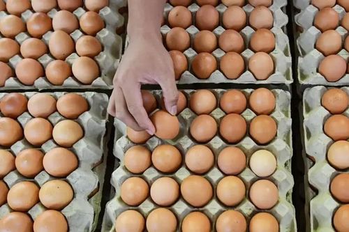 Giá trứng sắp tăng vọt: Nguyên nhân và dự báo