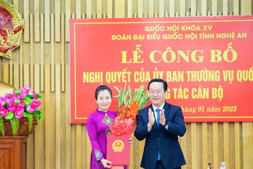 Đồng chí Võ Thị Minh Sinh làm Trưởng Đoàn đại biểu Quốc hội khóa XV tỉnh Nghệ An