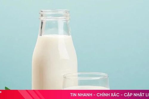 Bé 2 tuổi nên uống sữa tươi hay sữa bột?