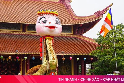 Chiêm ngưỡng linh vật rắn chào xuân mới ở Hà Tĩnh