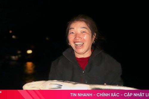 Nhộn nhịp bến cá Cồn Gò những ngày giáp Tết