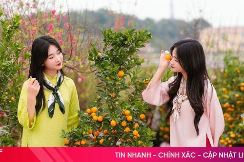 Mùa vui nay đã về