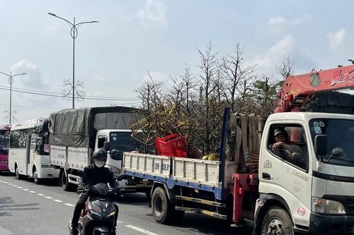 Cầu Rạch Miễu 'căng mình'ngày cận Tết vì ùn tắc giao thông