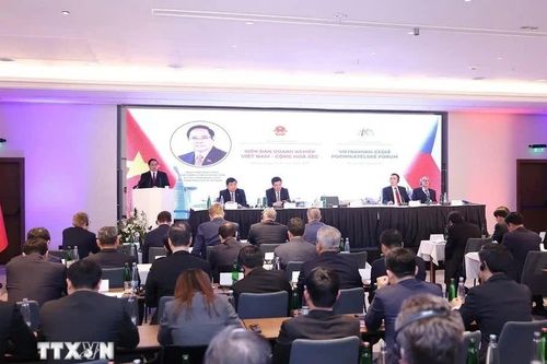 Việt Nam nêu bật nhiều thế mạnh giúp nâng tầm hợp tác thương mại với Séc
