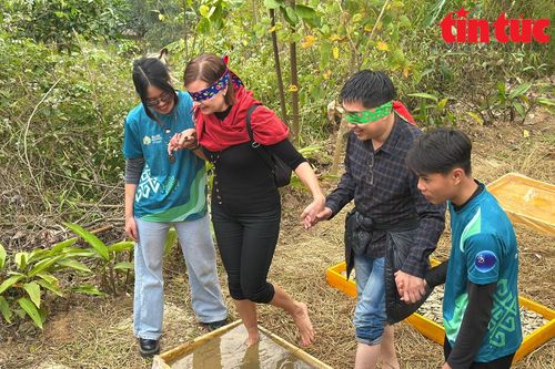 Khám phá 'thiên nhiên trong tầm mắt' tại các bản làng du lịch cộng đồng
