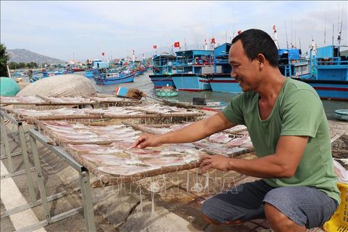 Giá nhiều loại hải sản khô tăng cao dịp cận Tết