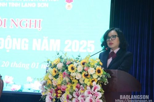 Hội nghị người lao động Chi nhánh Ngân hàng Chính sách xã hội tỉnh năm 2025
