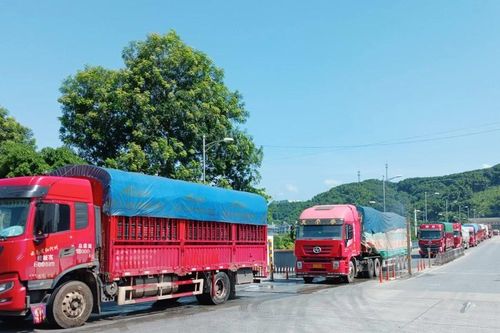 Xuất - nhập khẩu lấy lại đà tăng trưởng
