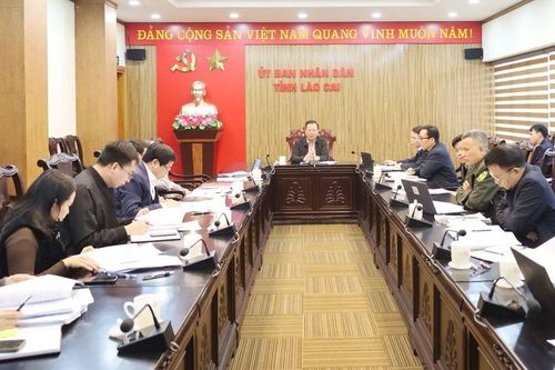 Tổng thu tiền dịch vụ môi trường rừng năm 2024 tăng 4% so với năm 2023