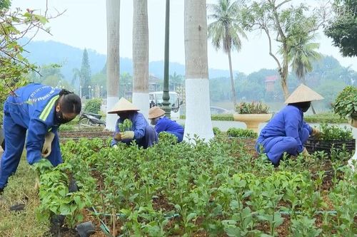 Tất bật chỉnh trang đô thị để đón Tết