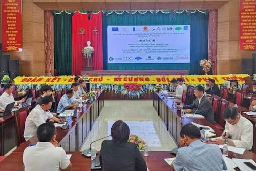 Chống mất rừng để bảo vệ ngành hàng cà phê bền vững
