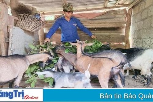 Tạo điều kiện cho thanh niên dân tộc thiểu số phát huy năng lực lập thân, lập nghiệp