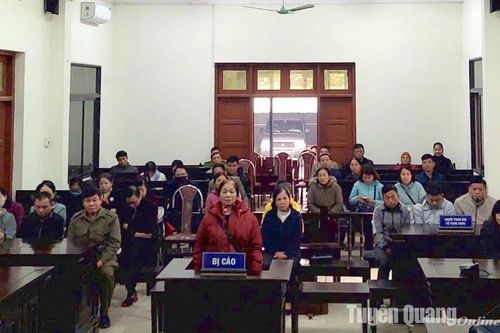Xét xử 25 bị cáo phạm tội đánh bạc và tổ chức đánh bạc