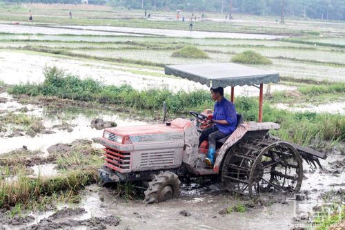 Đại Từ sẵn sàng cho sản xuất vụ xuân