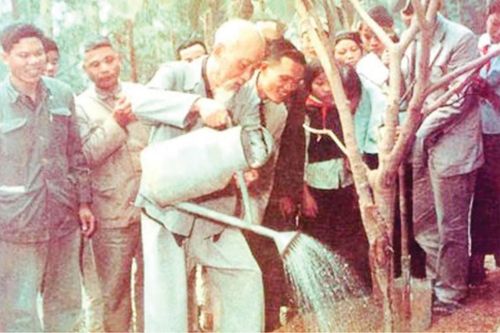 Chủ tịch Hồ Chí Minh với Tết trồng cây dịp xuân Ất Tỵ năm 1965