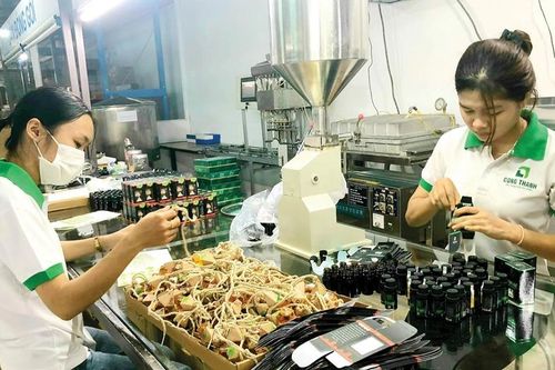 Đồng hành cùng người trẻ khởi nghiệp