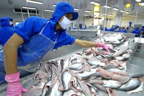 Cá tra, basa của Thủy sản Vĩnh Hoàn (VHC) 'rộng cửa' vào thị trường Hoa Kỳ sau thỏa thuận về dỡ bỏ thuế chống bán phá giá