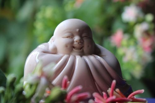 Sống với sơ tâm Như thị